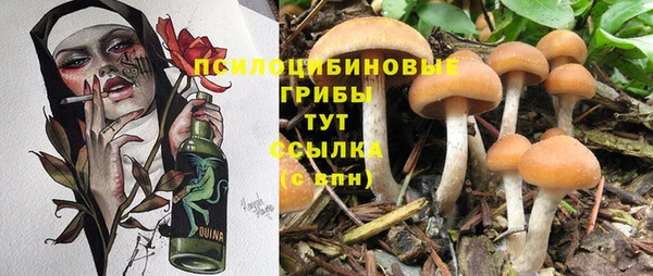 дурь Бежецк
