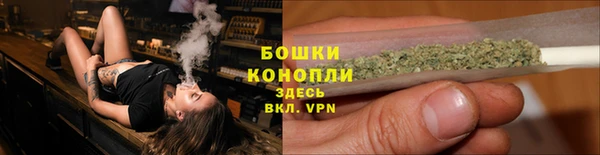 стафф Нягань