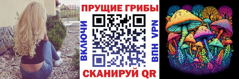 hydra вход  Таштагол  Галлюциногенные грибы Psilocybe 